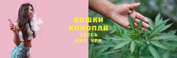 ПСИЛОЦИБИНОВЫЕ ГРИБЫ Наволоки